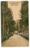 697 - SANGEORGIUL-Bai, Mures, Alee in parc - old postcard - unued - 1926, Necirculata, Printata