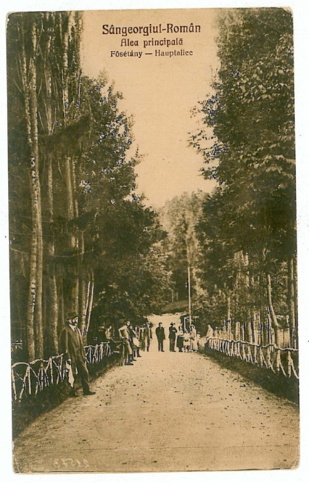 697 - SANGEORGIUL-Bai, Mures, Alee in parc - old postcard - unued - 1926