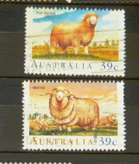 Lot / set timbre stampilate / uzate - NATURA - FAUNA - OI - OAIE - ANIMALE - AUSTRALIA - 2+1 gratis pt. produse la pret fix - CHA1492 foto