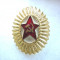 Embleme militara URSS