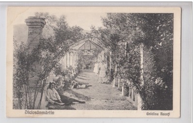 B76845 Romania Tirnaveni Tarnaveni Diciosanmartin Gradina Racoti foto