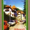 OLANESTI 1996