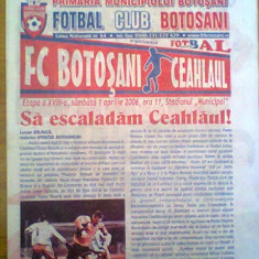 FC Botosani-Ceahlaul Piatra Neamt (1aprilie 2006)