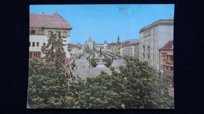 Vedere Targu Mures foto