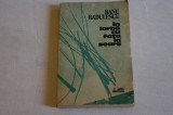 In iarba cu fata la soare - Banu Radulescu - Cartea Romaneasca - 1989, Alta editura