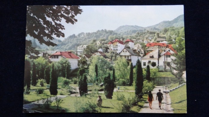 RPR - Olanesti - Vedere din parc