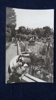 RPR - Cluj - Gradina Botanica foto