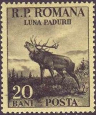 1954 - seria &amp;quot;luna padurii&amp;quot; catalog Mi RO 1464/6 (2 valori : 20 bani; 1,75 lei) foto