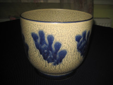 Jardiniera veche cu flori albastre din ceramica foto