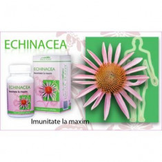 Echinacea 60 cpr Dacia Plant foto