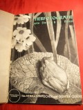 H.Fischer -Fotografii Artistice cu Animale Salbatice- ghid pt. amatori -1939