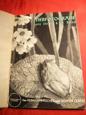 H.Fischer -Fotografii Artistice cu Animale Salbatice- ghid pt. amatori -1939 foto