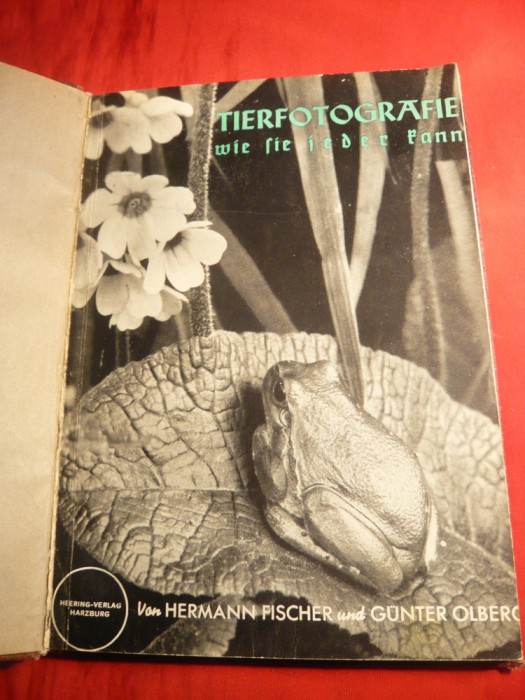 H.Fischer -Fotografii Artistice cu Animale Salbatice- ghid pt. amatori -1939