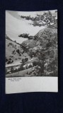 RPR - Herculane - Valea Cernei