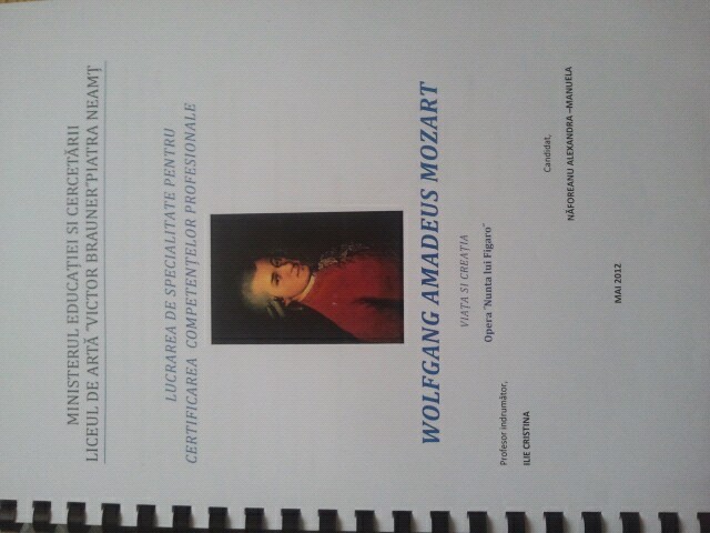 Atestat clasa a 12 07 picture