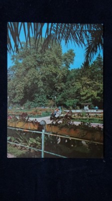 RPR - Intreg postal - Buzias foto