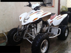 Quad Dinli DL 904 foto