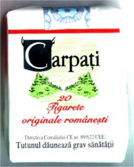 tigari Carpati - originale foto