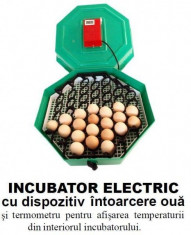 Incubator Electric Clocitoare 60 Oua cu Termometru si Intoarcere Cleo 5 foto