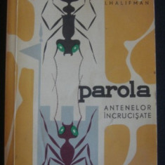 I Halifman Parola antenelor incrucisate Ed. St. 1964