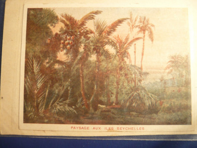 Carte Postala-ilustrata -Posta Militara Seychelles,Franta ,primul razboi mondial foto