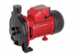 070116-Pompa de suprafata pentru apa curata 850 W Raider Power Tools RD-WP158 foto