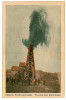 1257 - CAMPINA, Prahova, eruptia unei sonde - old postcard - unused, Necirculata, Printata