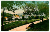 1483 - BRASOV, Park - old postcard - unused, Necirculata, Printata