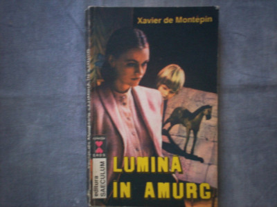 XAVIER DE MONTEPIN - LUMINA IN AMURG C4 foto