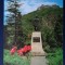 CP - Deva - Statuia lui Decebal - Circulat