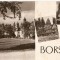 AMP166 Borsec, RPR