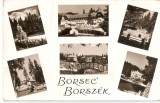 AMP157 Borsec, RPR
