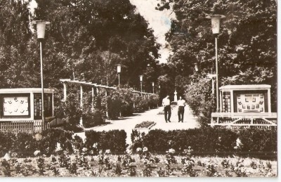 AMP140 Buzias, RPR foto