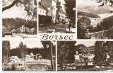 AMP163 Borsec, RPR