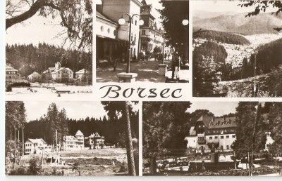 AMP163 Borsec, RPR foto