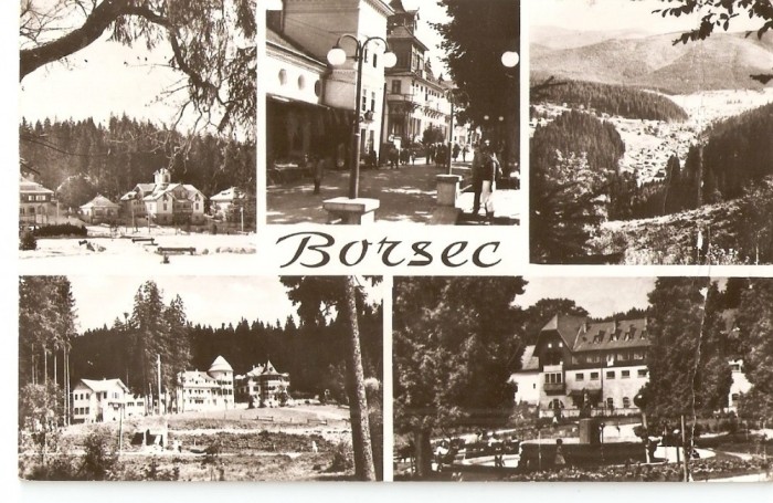 AMP161 Borsec, RPR