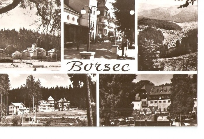 AMP162 Borsec, RPR