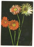 #carte postala(ilustrata)-FLORI