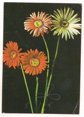 #carte postala(ilustrata)-FLORI foto