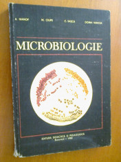MICROBIOLOGIE PENTRU FACULTATILE DE MEDICINA - ANTIPA IVANOF, MIRCEA CIUPE, CONSTANTIN SASCA, DOINA VANCEA (1982) foto