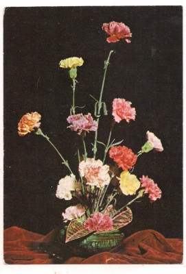 #carte postala(marca fixa)-FLORI-Garoafe foto