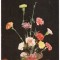 #carte postala(marca fixa)-FLORI-Garoafe