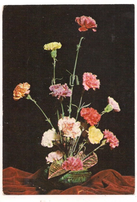 #carte postala(marca fixa)-FLORI-Garoafe