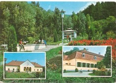 CPI (B4307) BODOC. IZVORUL DE APA MINERALA, CAMINUL CULTURAL, OLTENI, TABARA DE PIONIERI, EDITURA OSETCM, NECIRCULATA, TIMBRU IMPRIMA foto