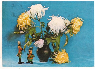 #carte postala(marca fixa)-FLORI- foto