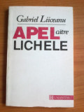 p Gabriel Liiceanu - Apel catre lichele
