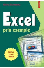 Excel prin exemple - Silvia Curteanu foto