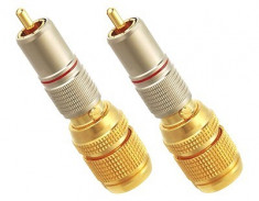 Conector RCA M00 foto