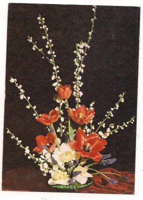 #carte postala(marca fixa)-FLORI- foto