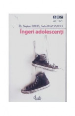 Ingeri adolescenti - Dr. Stephen Briers, Sacha Baveystock foto